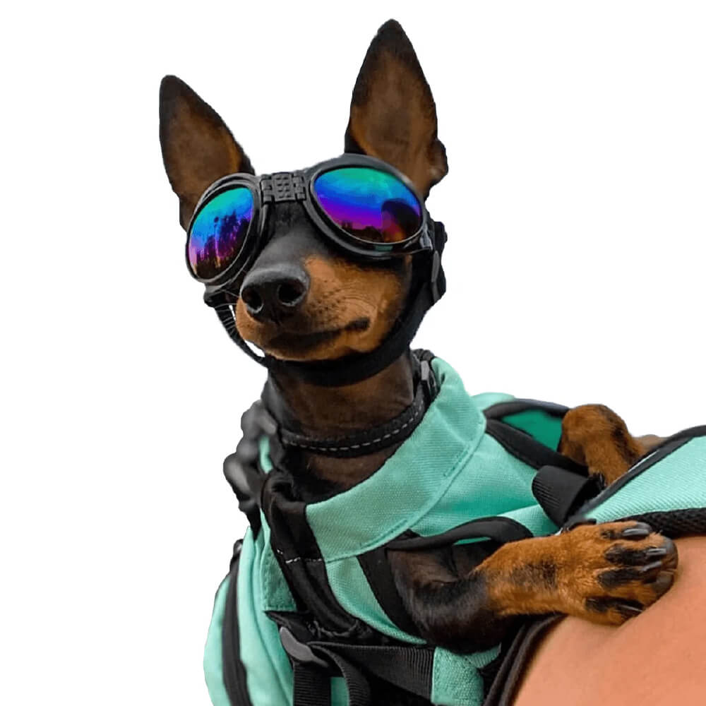 K9 Sport Shades, Dog Goggles