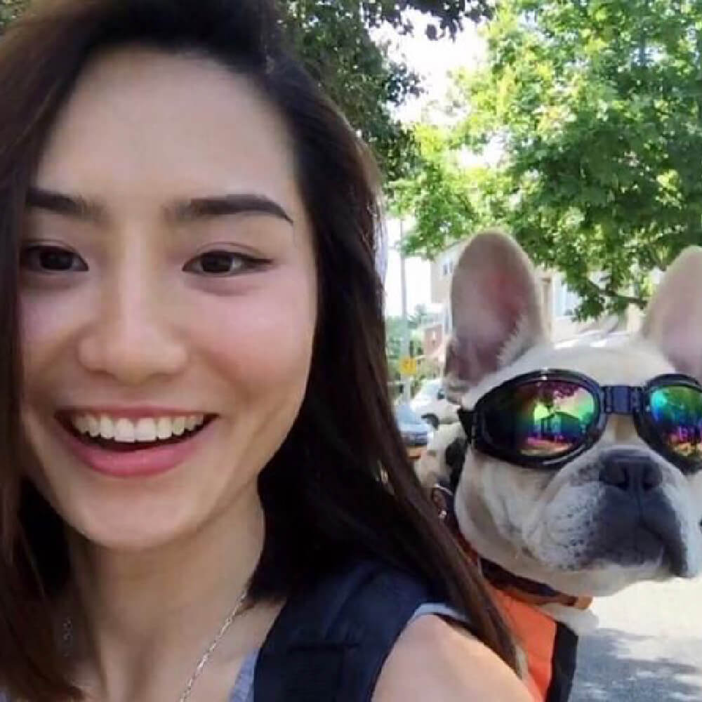 K9 Sport Shades, Dog Goggles