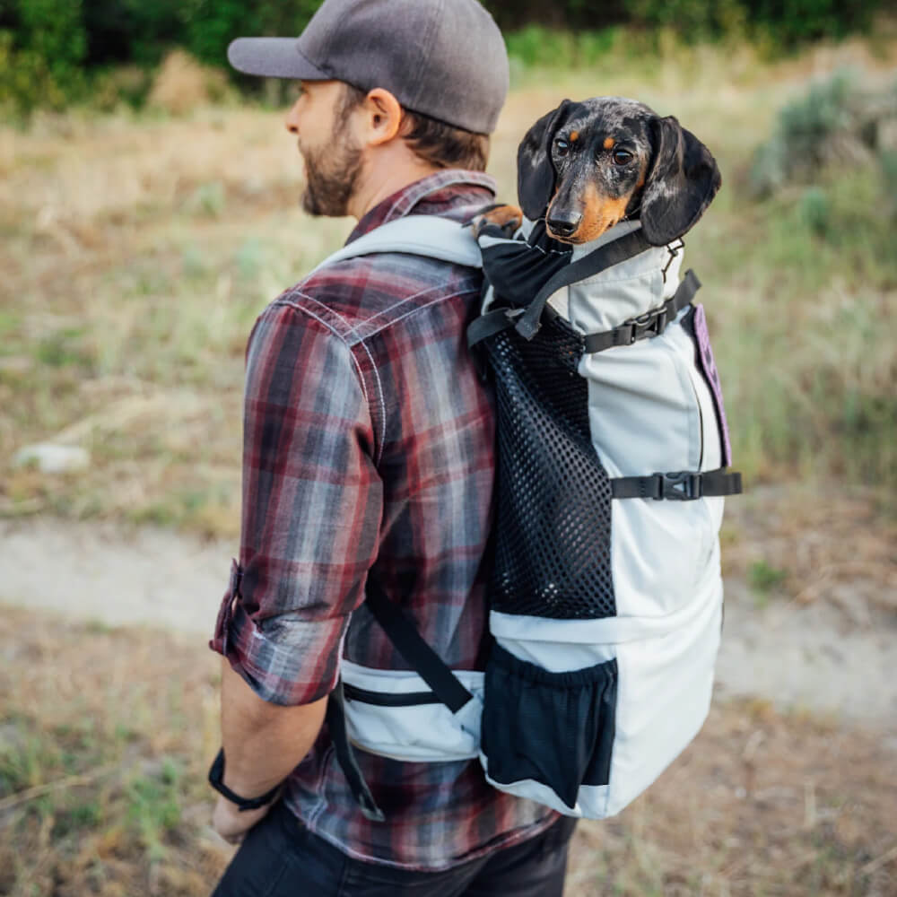 K9 Sport Sack® Knavigate Dog Backpack
