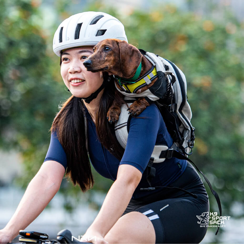 K9 Sport Sack PLUS 2 Dog Carrier Backpack
