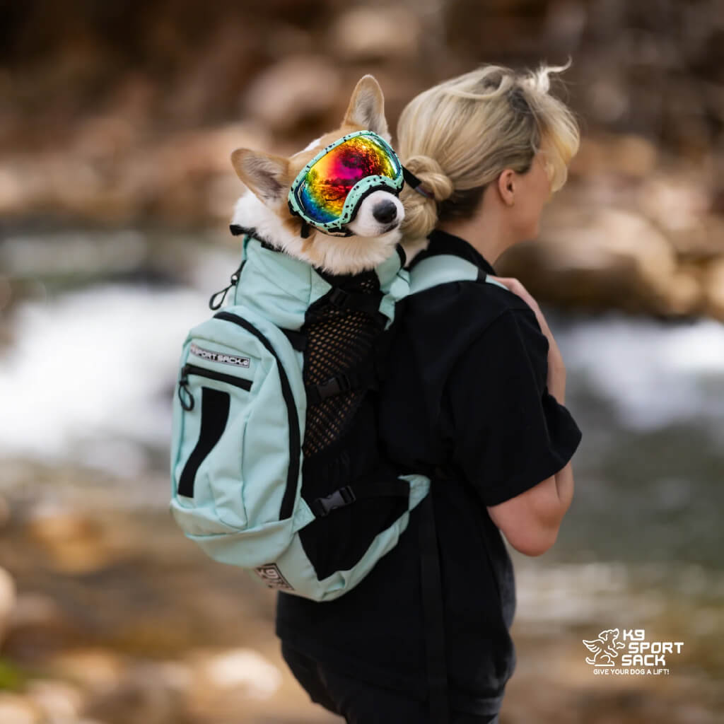 K9 Sport Sack PLUS 2 Dog Carrier Backpack