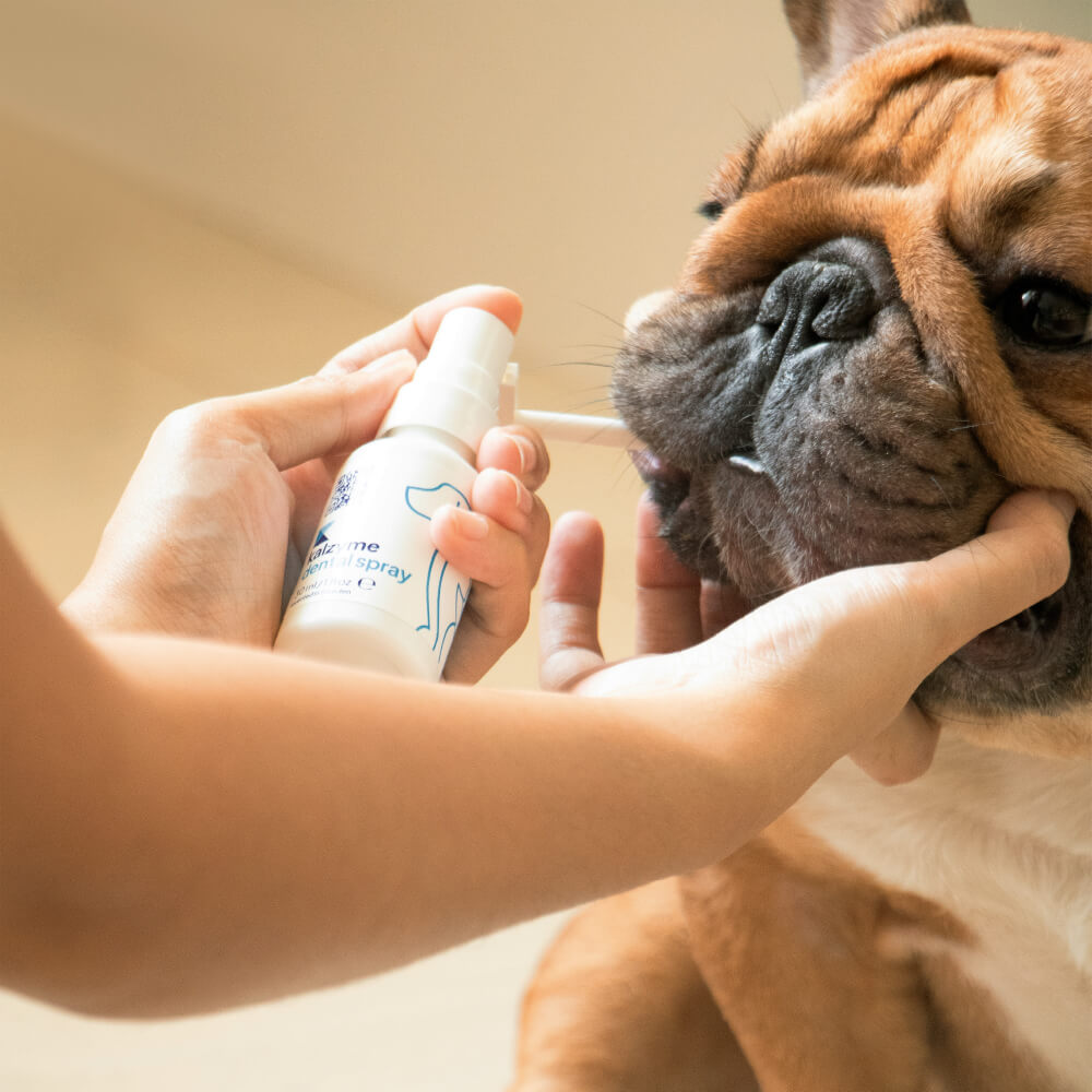 Kalzyme™ Dental Spray
