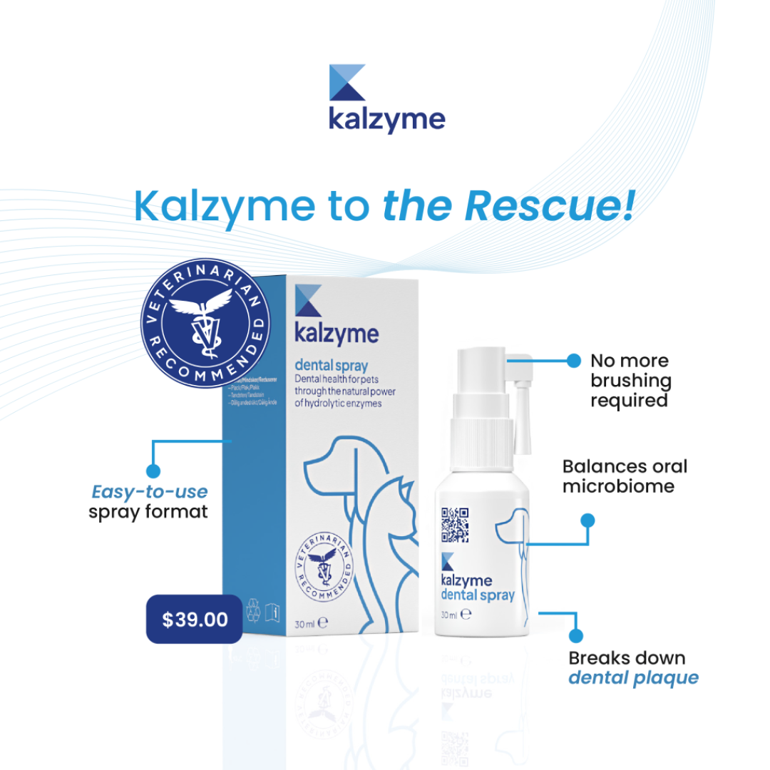 Kalzyme™ Dental Spray