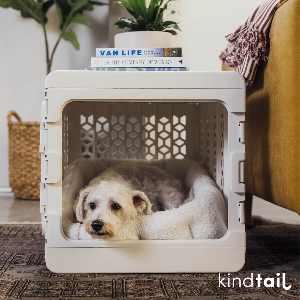 PAWD® Collapsible Plastic Pet Crate