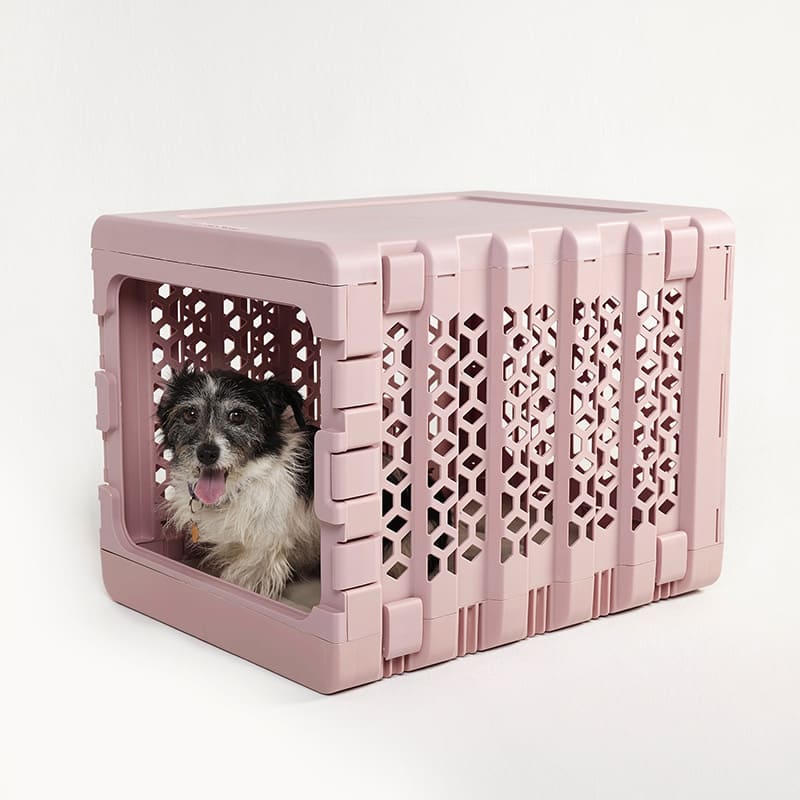 PAWD® Collapsible Plastic Pet Crate