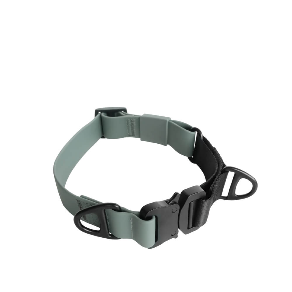 Lambwolf AVA Martingale Quick-Release Collar