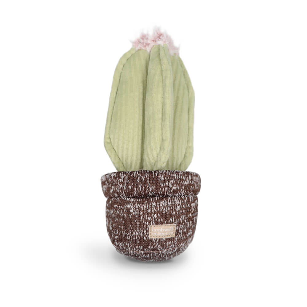 Lambwolf Cactus Squeaky Toy