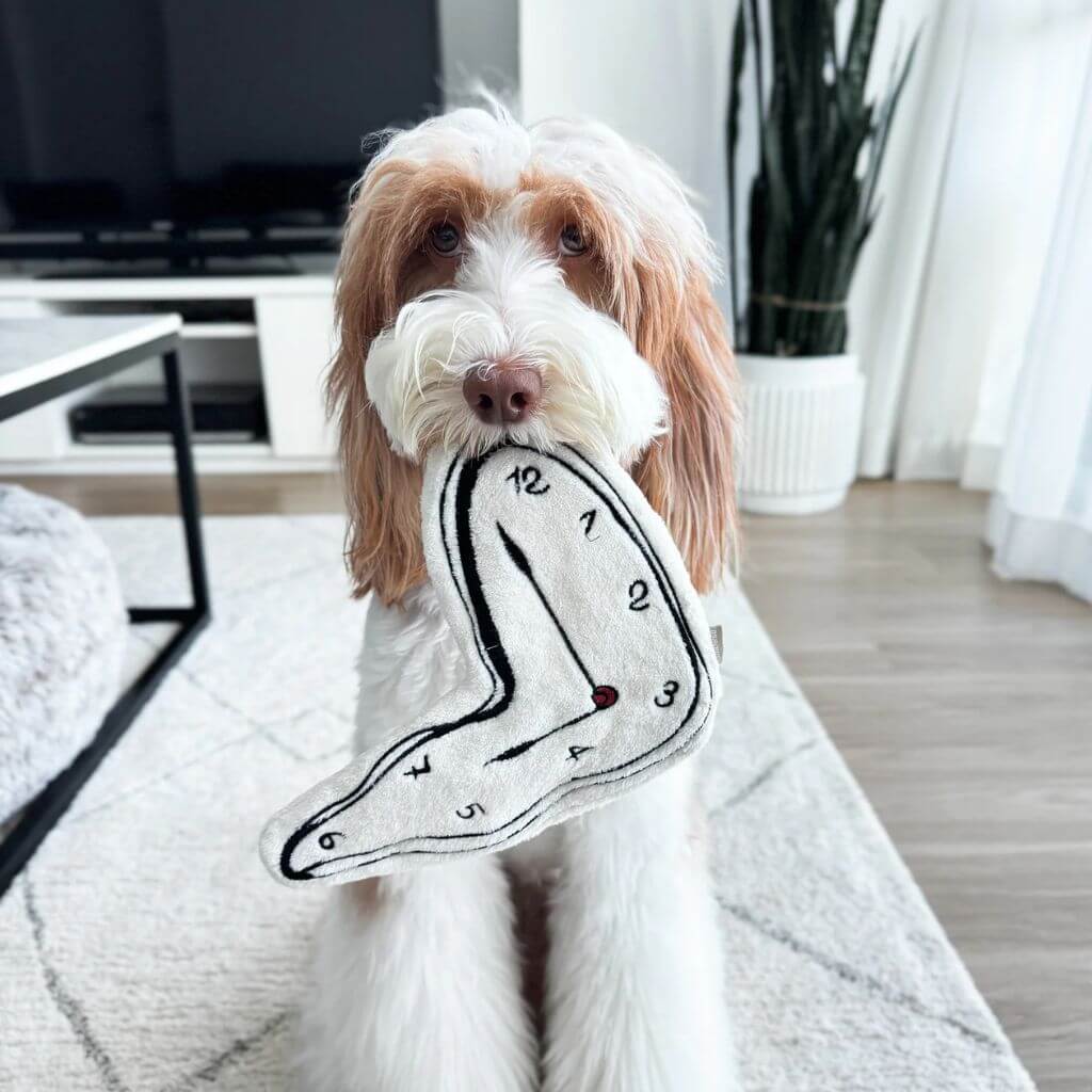 Dog holding the Dali clock from the Lambwolf Modern Mutts-terpieces Surrealist Snuffles in its mouth