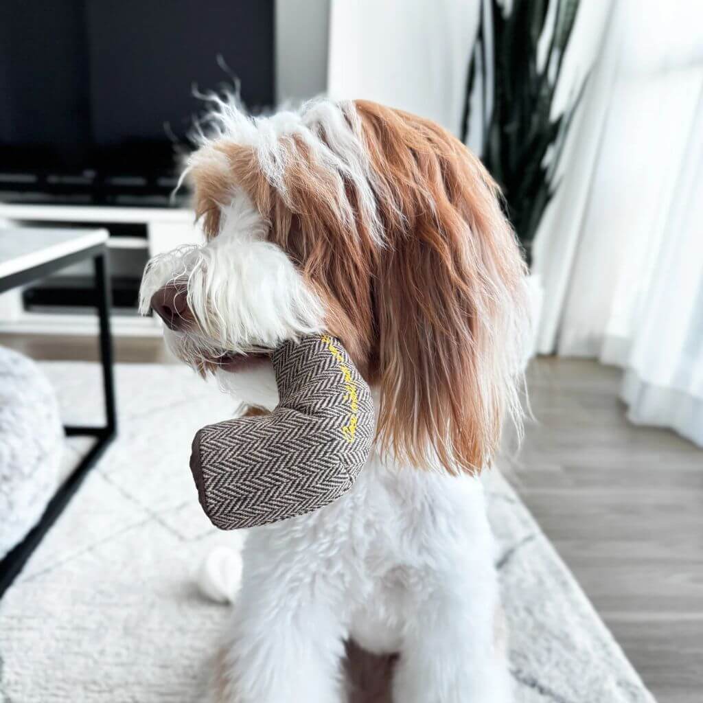 Dog holding a pipe from the Lambwolf Modern Mutts-terpieces Surrealist Snuffles set in its mouth