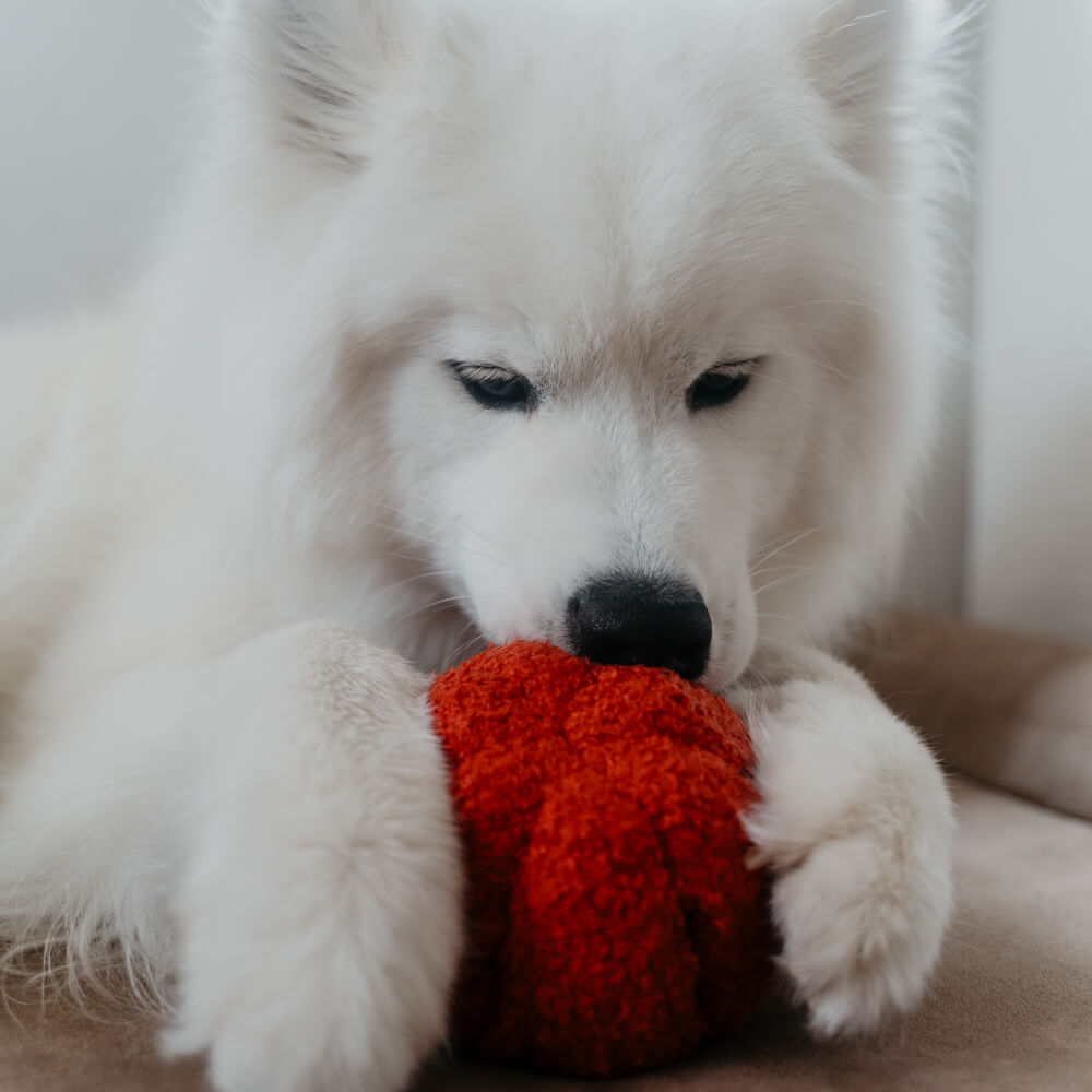 Lambwolf Red Pepper Snuffle + Squeaky Toy