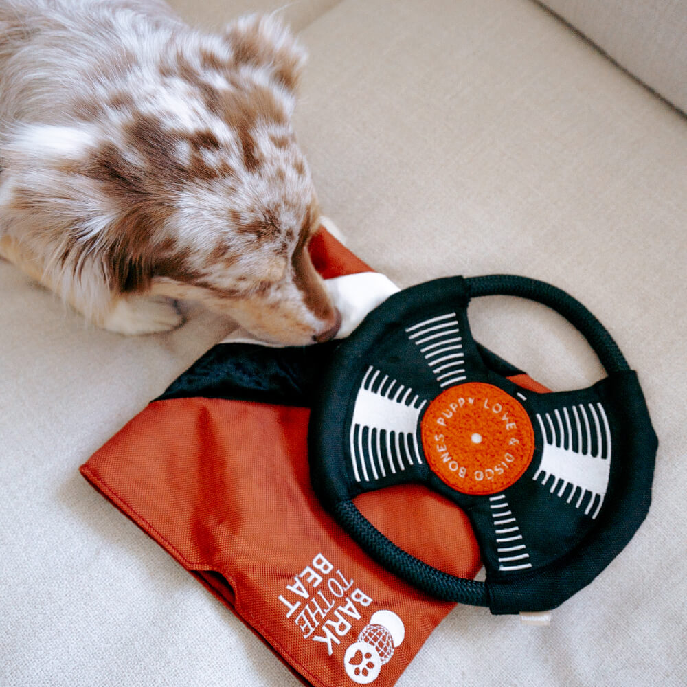 Dog sniffing the Lambwolf Vinyl Bark to The Beat toy