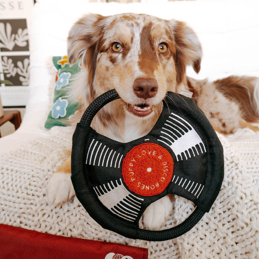 Dog holding the Lambwolf Vinyl Bark to The Beat toy in its mouth