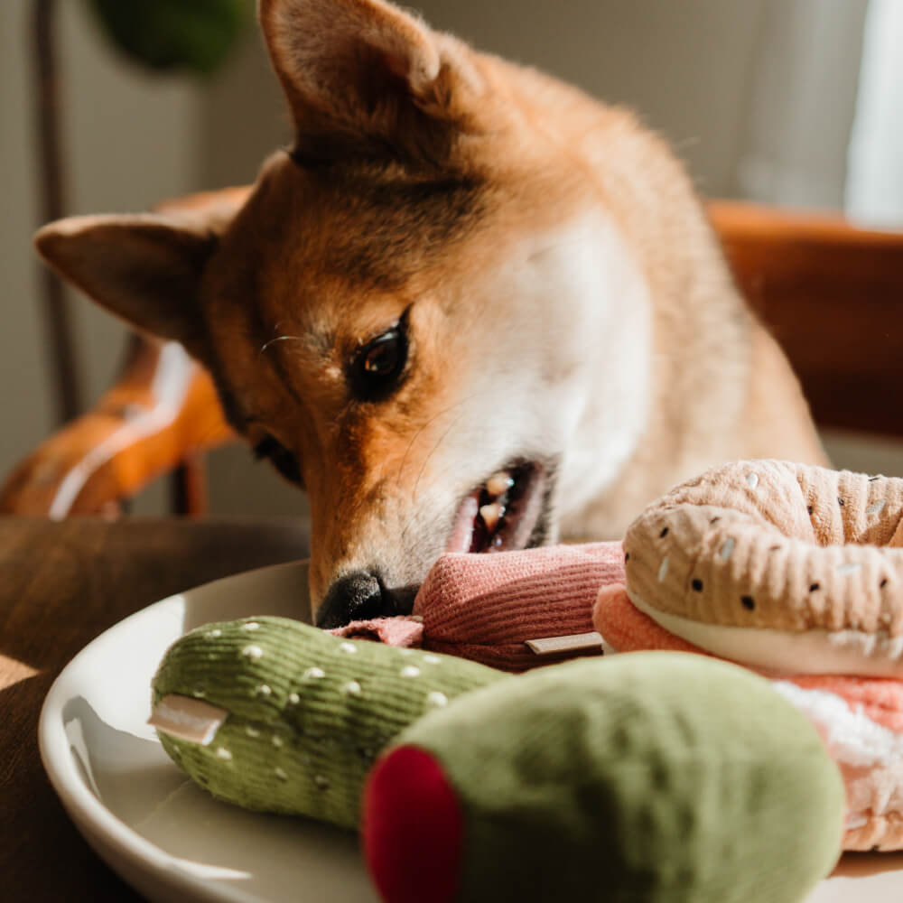 Lambwolf Bagel & Pickle Snuffle Toy