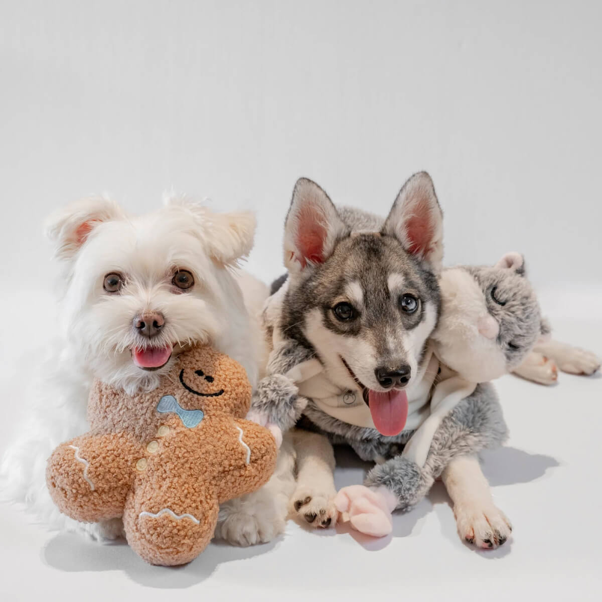 Lunoji Gingerboo Snuffle Toy