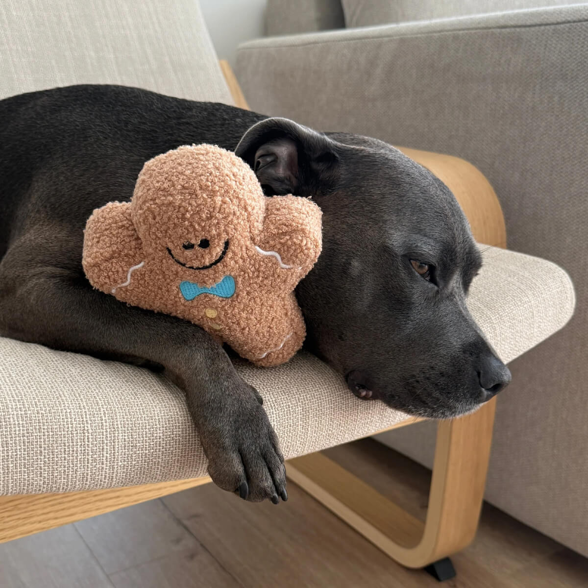 Lunoji Gingerboo Snuffle Toy