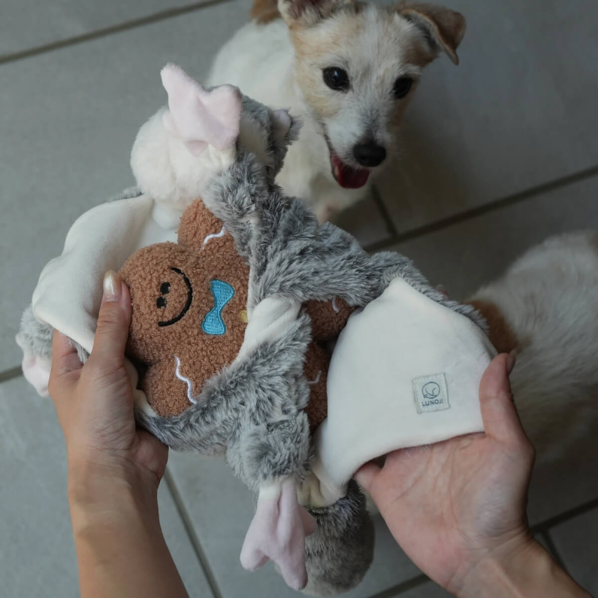 Lunoji Gingerboo Snuffle Toy