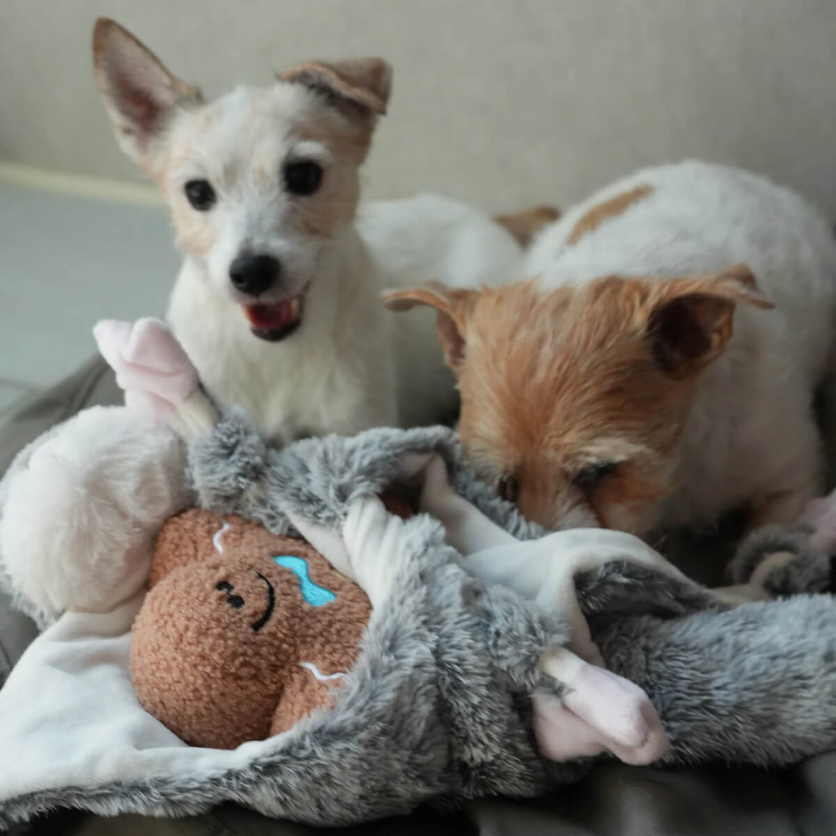 Lunoji Gingerboo Snuffle Toy