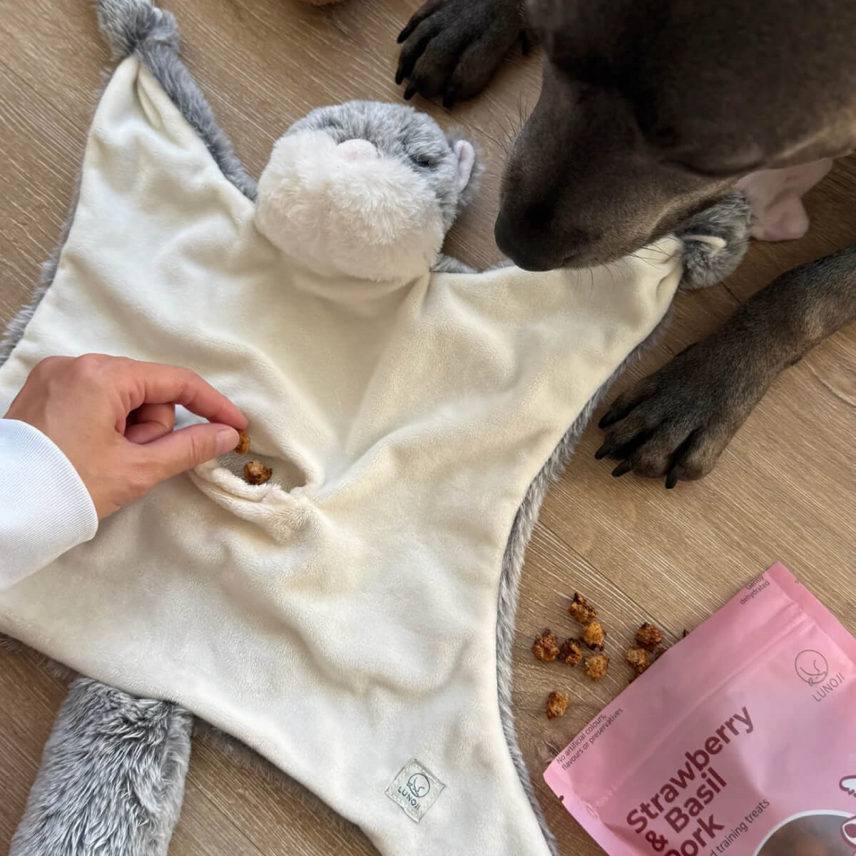 Lunoji Hugaboos™ Snuffle Toy