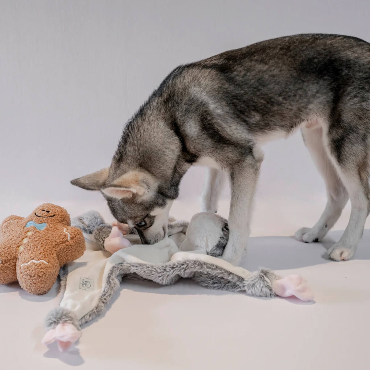 Lunoji Hugaboos™ Snuffle Toy