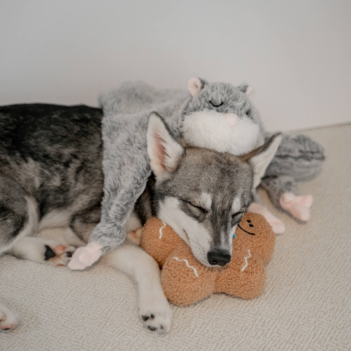 Lunoji Hugaboos™ Snuffle Toy