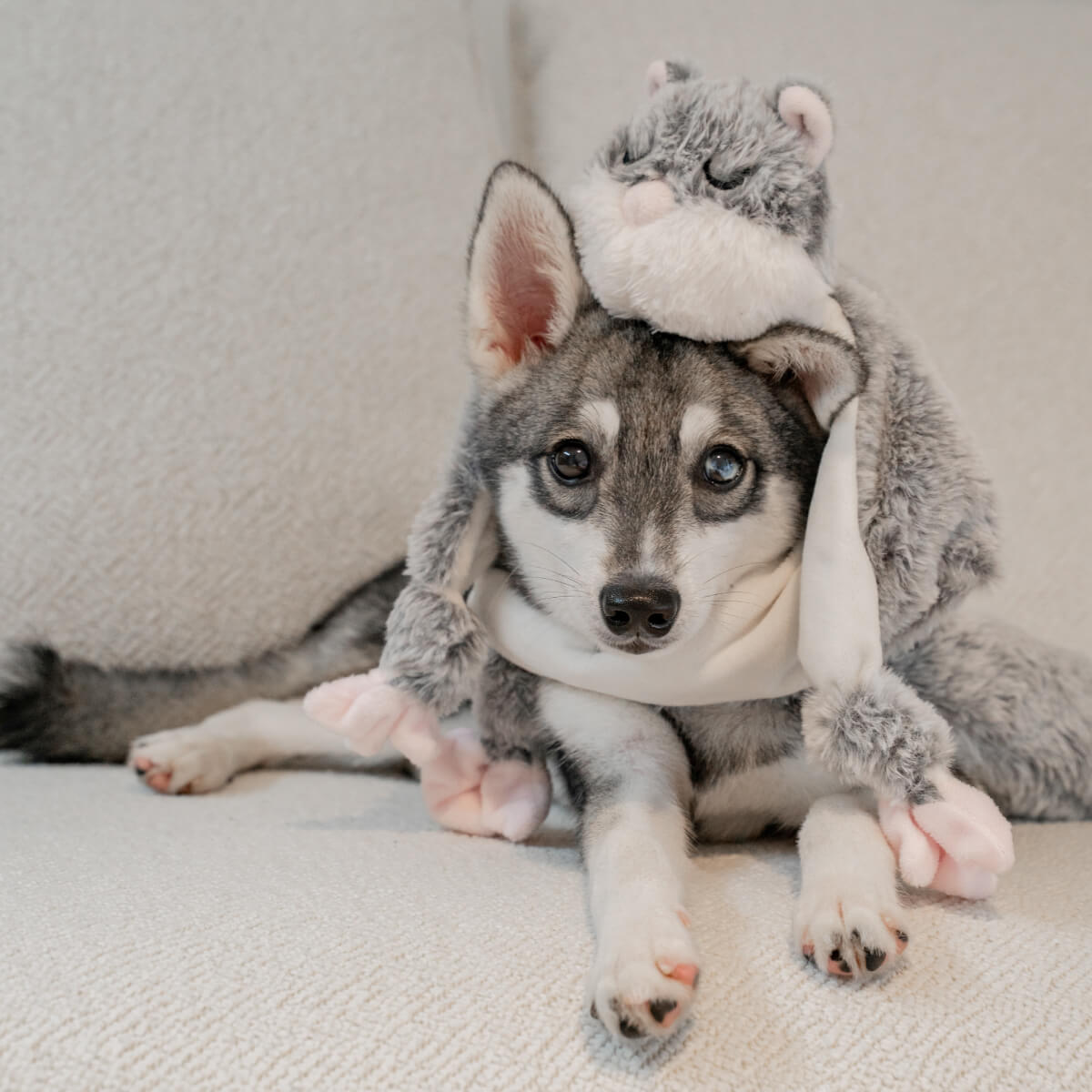 Lunoji Hugaboos™ Snuffle Toy