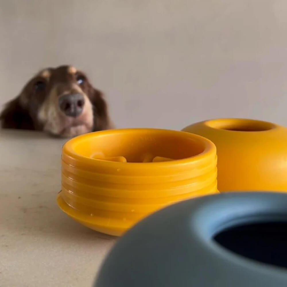 Lunoji Pebble Enrichment Toy