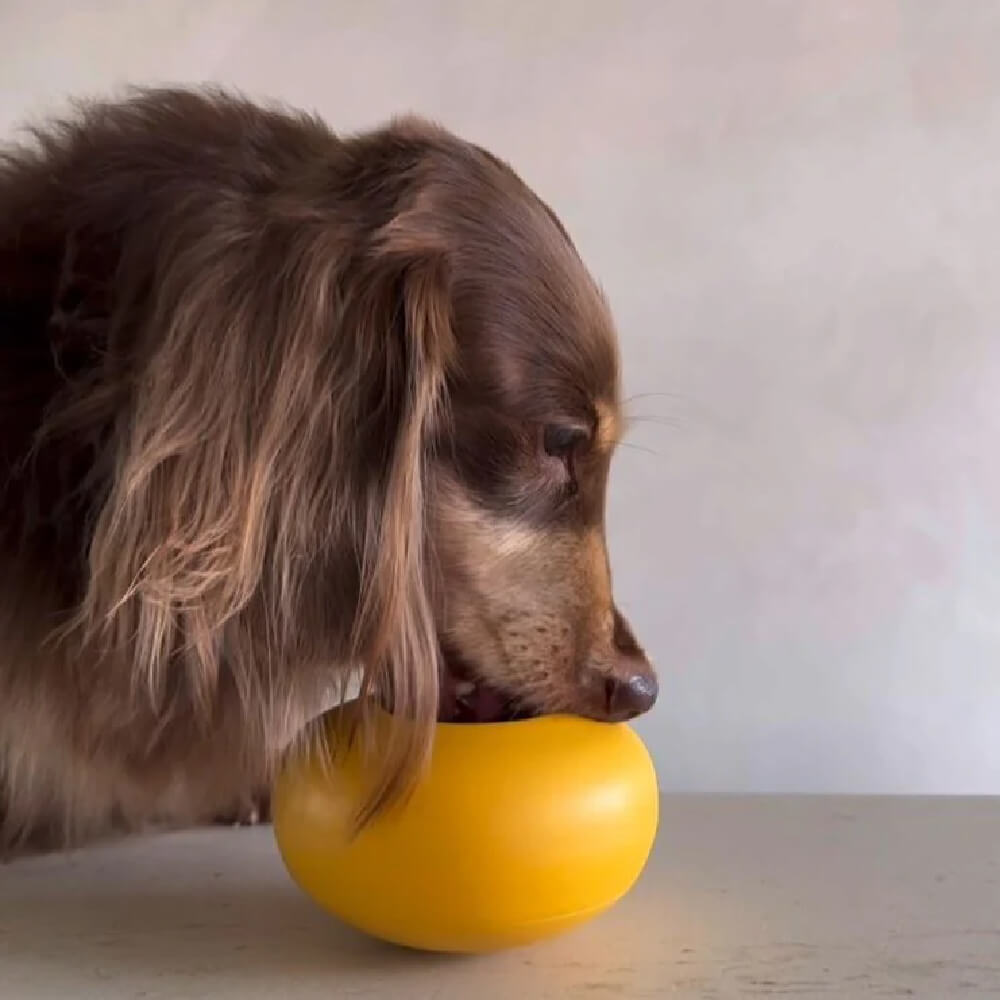 Lunoji Pebble Enrichment Toy