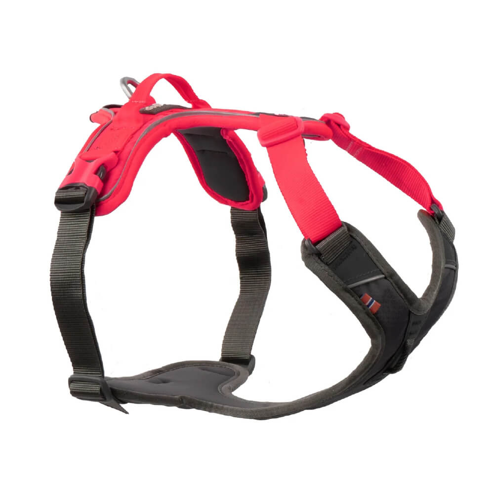 Non-stop dogwear Ramble Harness