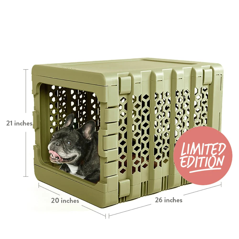 PAWD Collapsible Plastic Pet Crate