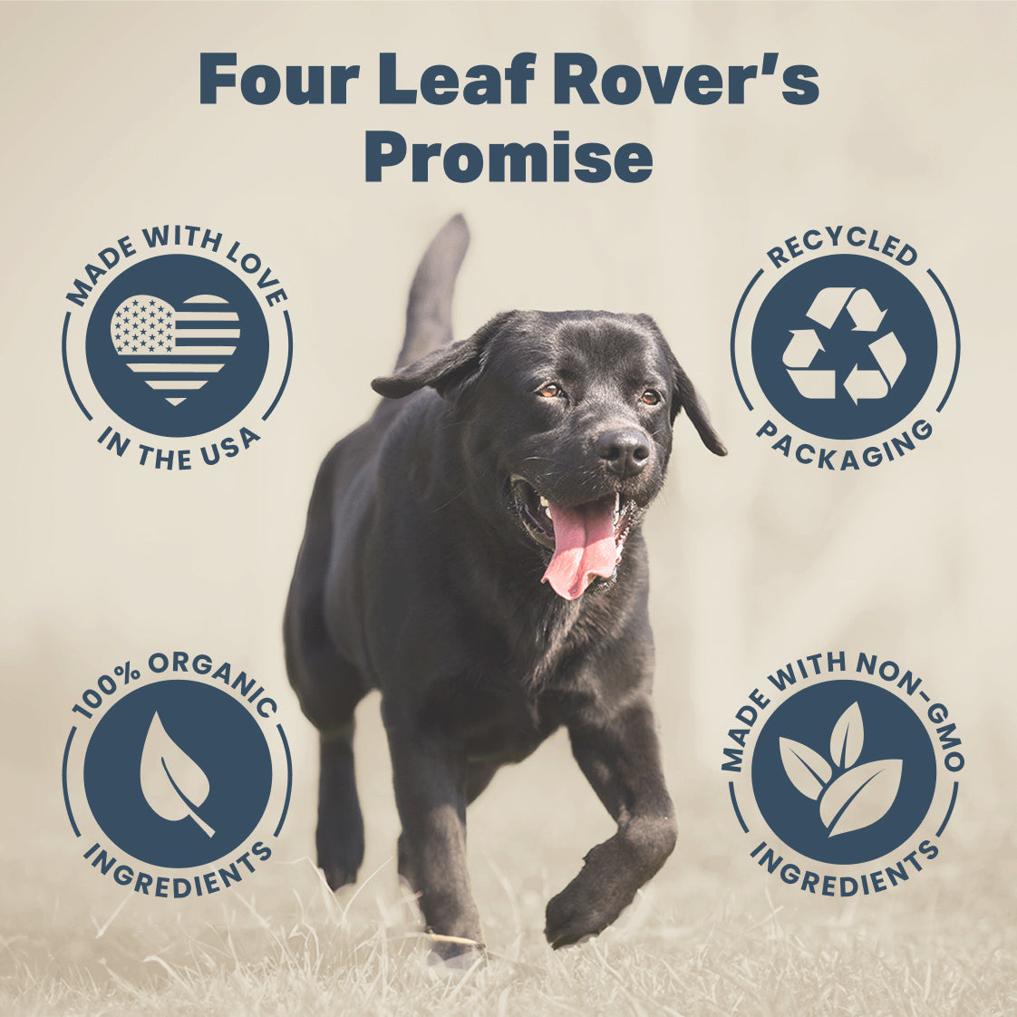 Four Leaf Rover Dental Health | With OraCMU Probiotics