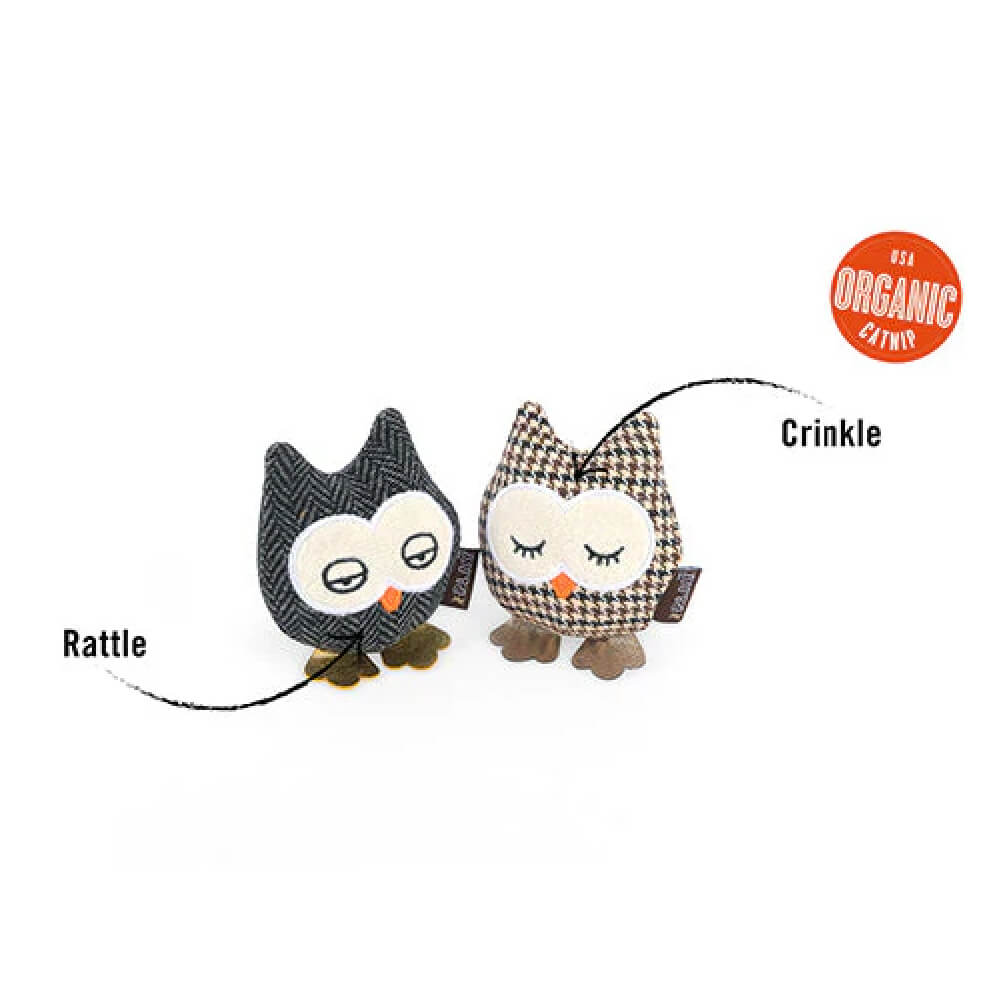 PLAY Feline Frenzy | Owls