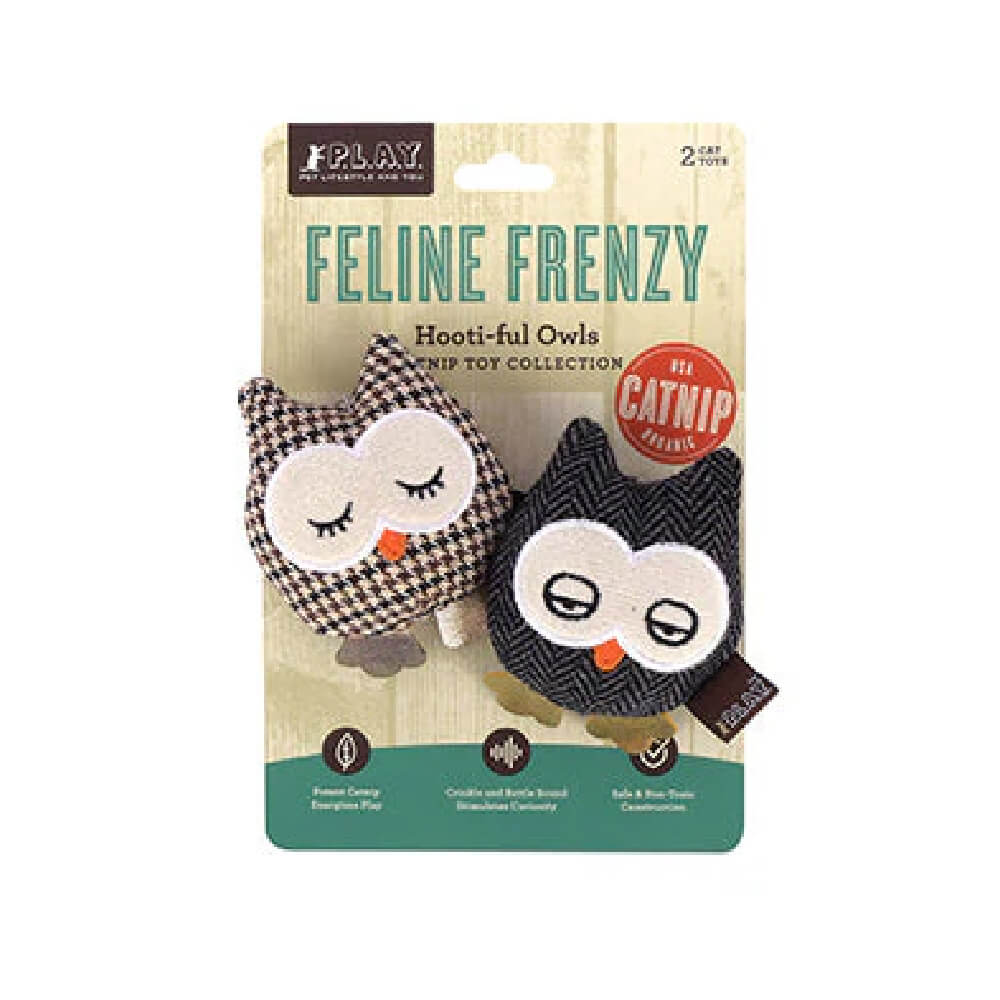 PLAY Feline Frenzy | Owls