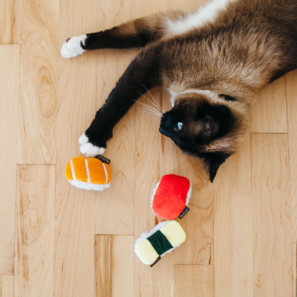 PLAY Feline Frenzy | Sassy Sushi