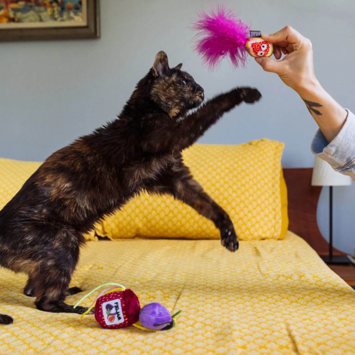 A cat playing with the PLAY Feline Frenzy Catnip Toy, Fig N' Whiskers on a bed.