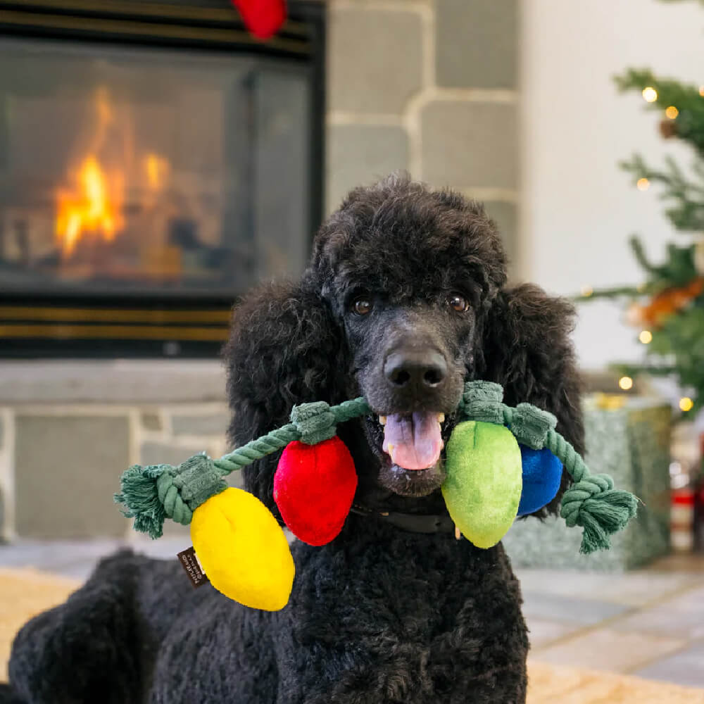 PLAY Home for the Holidays Christams Lights Tug Toy