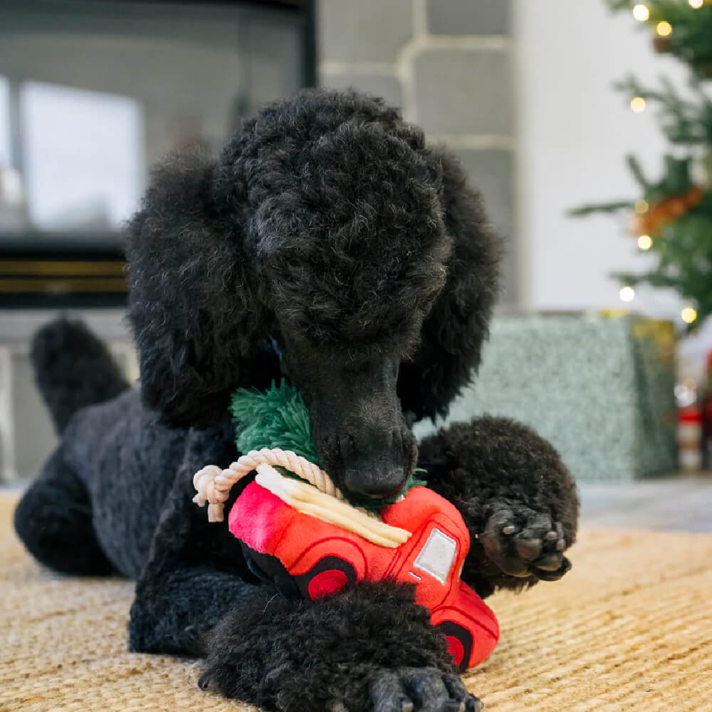 PLAY Home for the Holidays Red Truck Toy