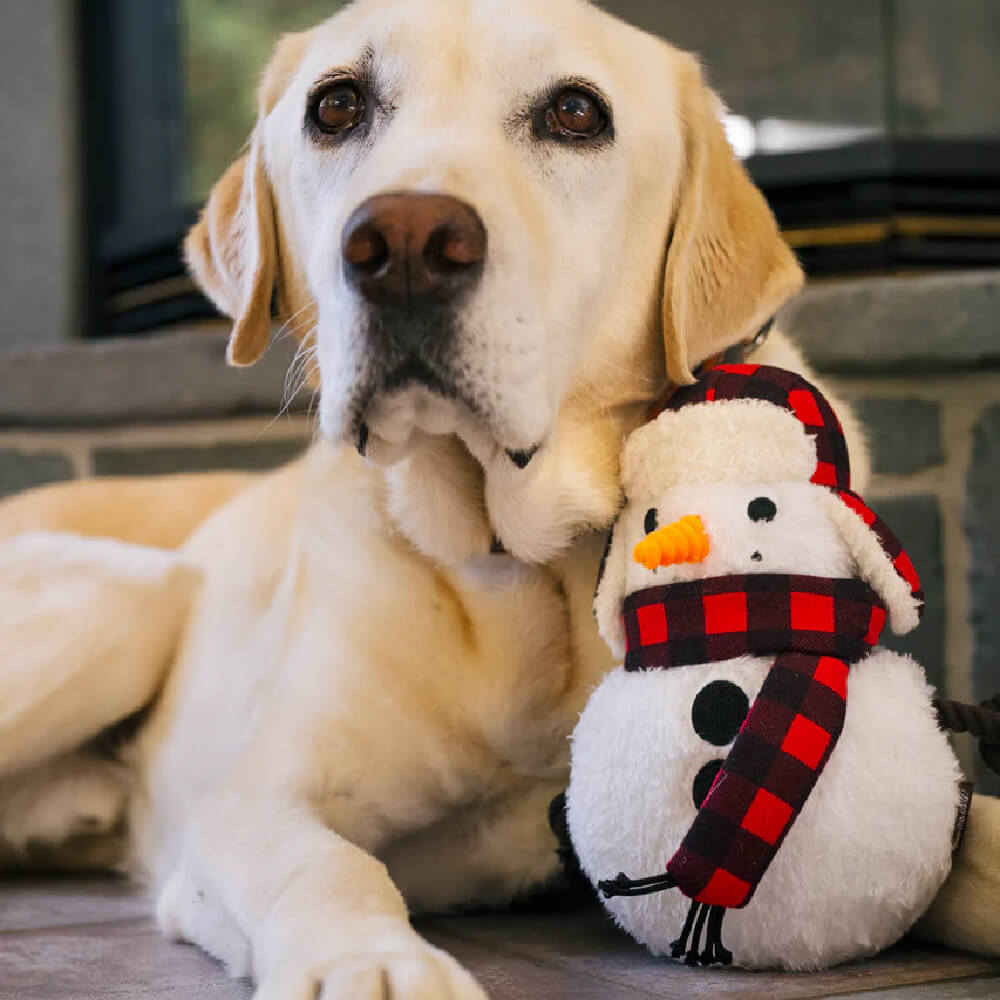 PLAY Home for the Holidays Snowman Toy