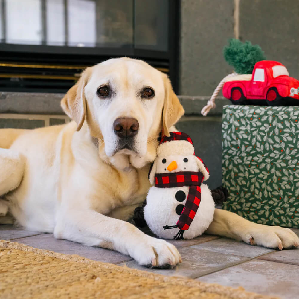 PLAY Home for the Holidays Snowman Toy