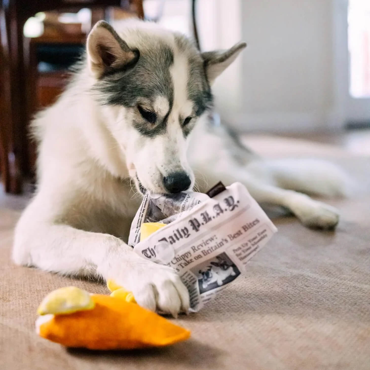 PLAY International Classic Fish & Chips Toy