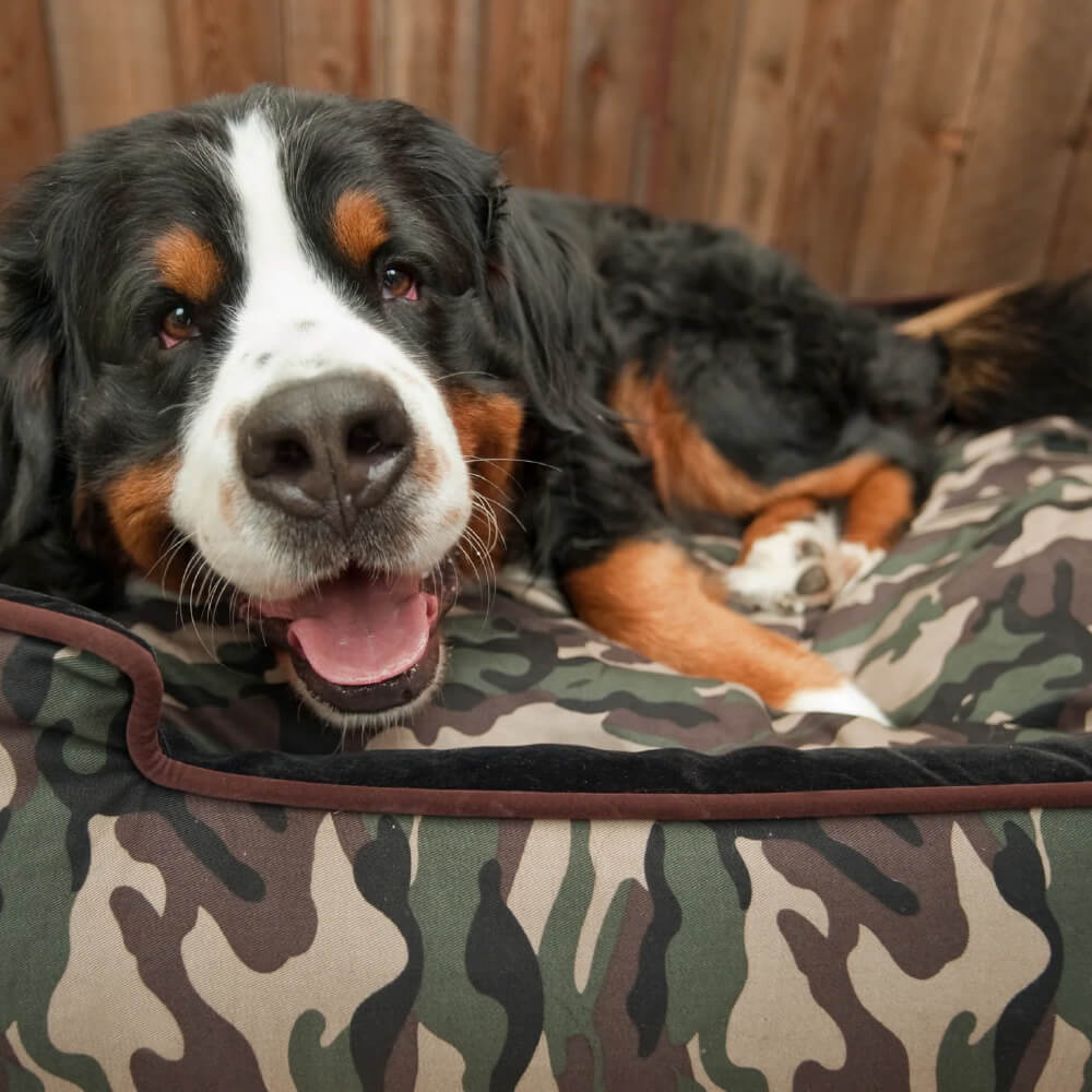 PLAY Camouflage Lounge Bed