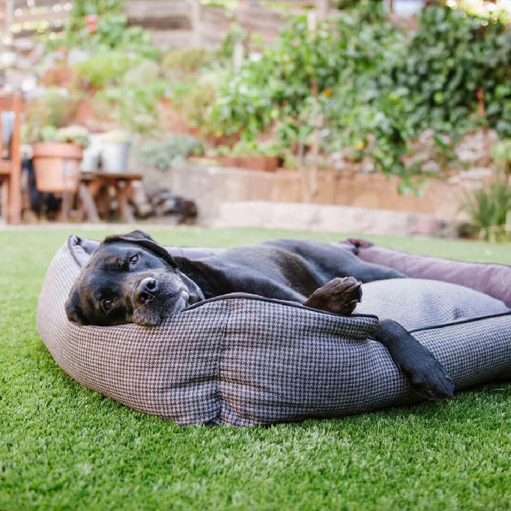 PLAY Houndstooth Lounge Bed