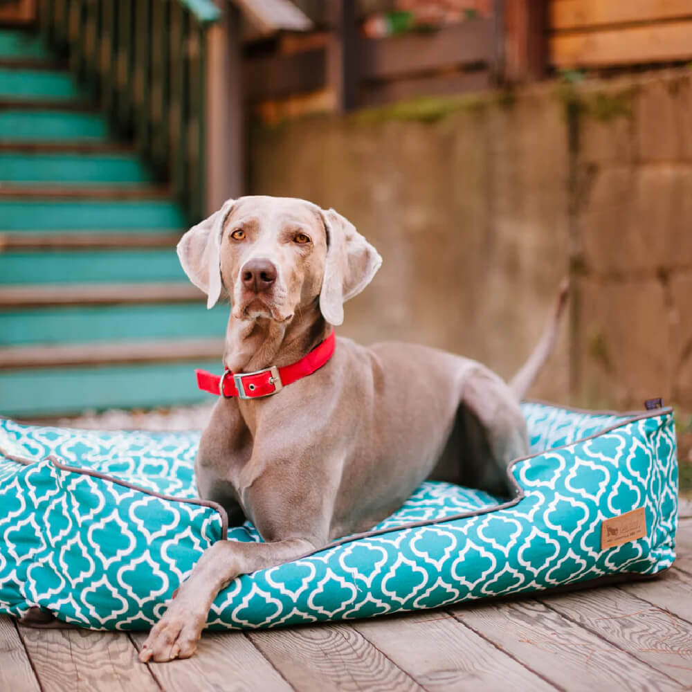 PLAY Moroccan Lounge Bed