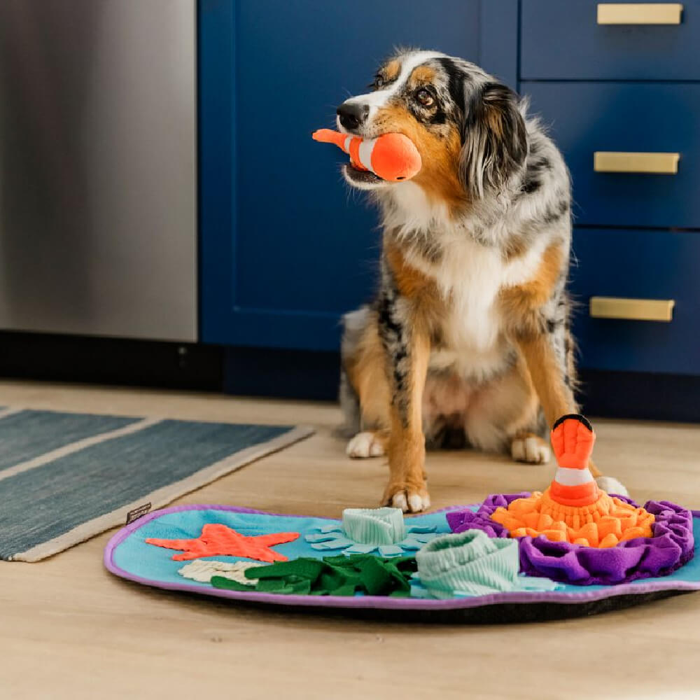 PLAY Snuffle Mat | Coral Cove