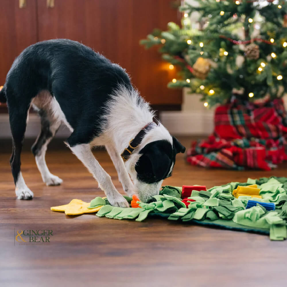 PLAY Snuffle Mat | Holiday