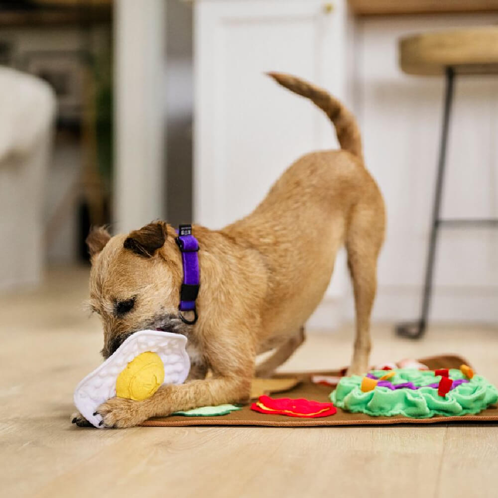 PLAY Snuffle Mat | Savoury Sunrise