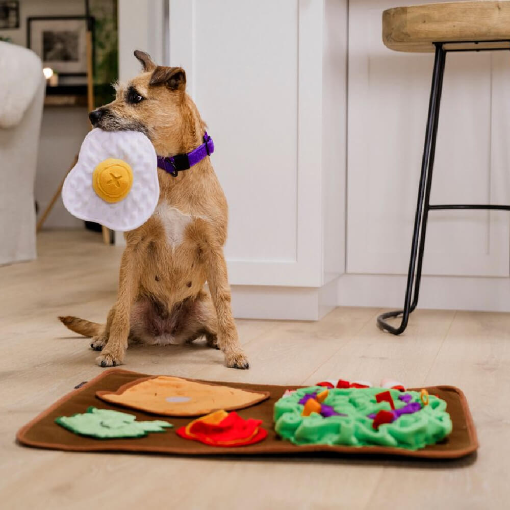 PLAY Snuffle Mat | Savoury Sunrise