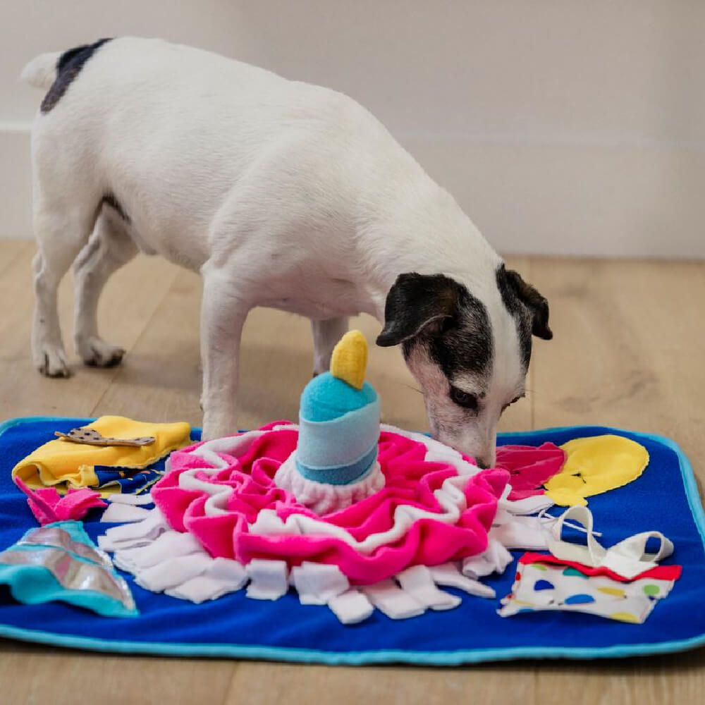 PLAY Snuffle Mat | Woof-day Celebration