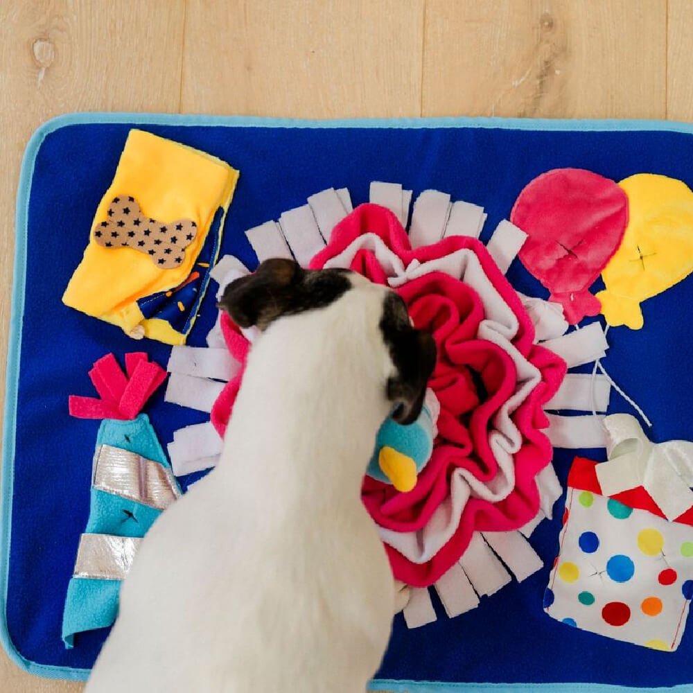 PLAY Snuffle Mat | Woof-day Celebration