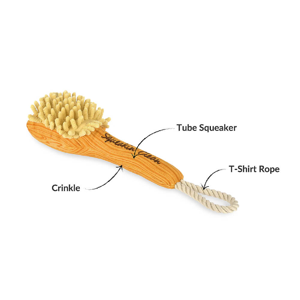 PLAY Splish Splash Bark'n Bristles Brush Toy