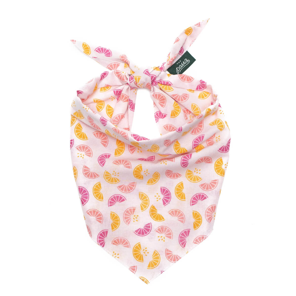 The Paws Bandana | Squeezed